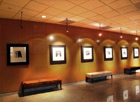 Westin Hotel